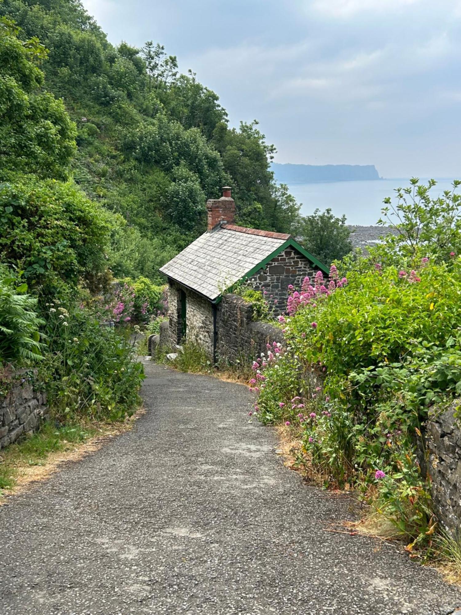 Cosy Boathouse Cottage By The Sea With Log Burner Bucks Mills Bagian luar foto